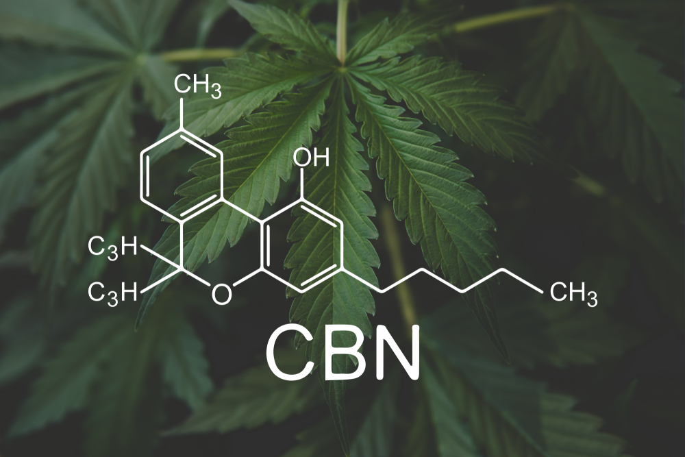 Cannabinol CBN Cannabinoid